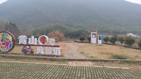 油菜花观景点旅行图片 1