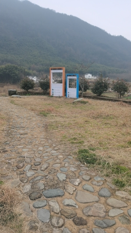 油菜花观景点旅行图片 2