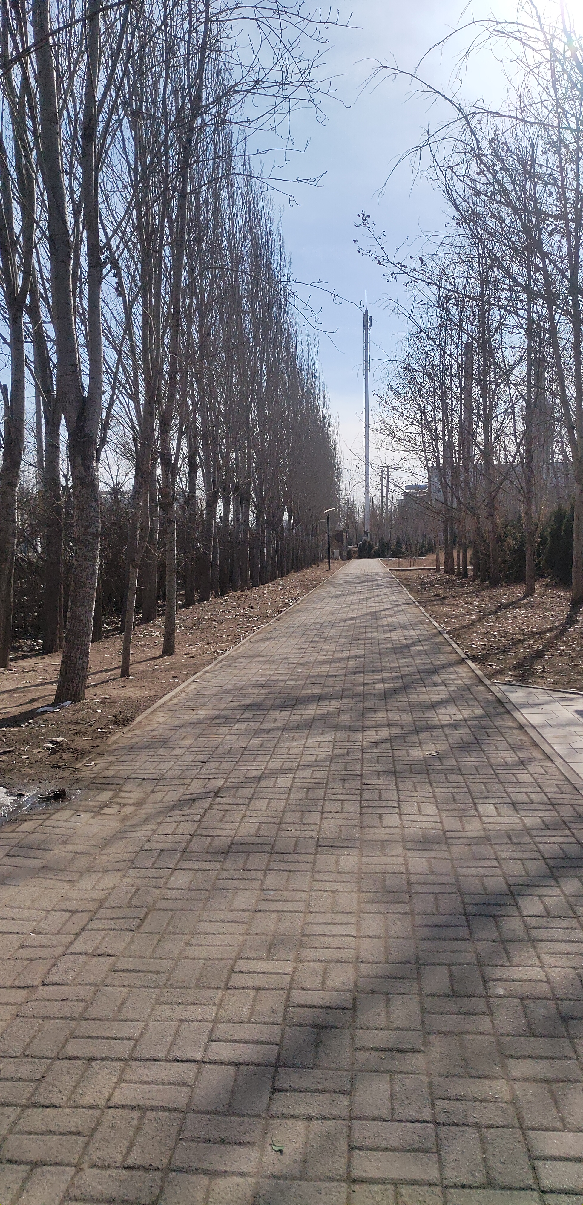森林公园旅行图片 3