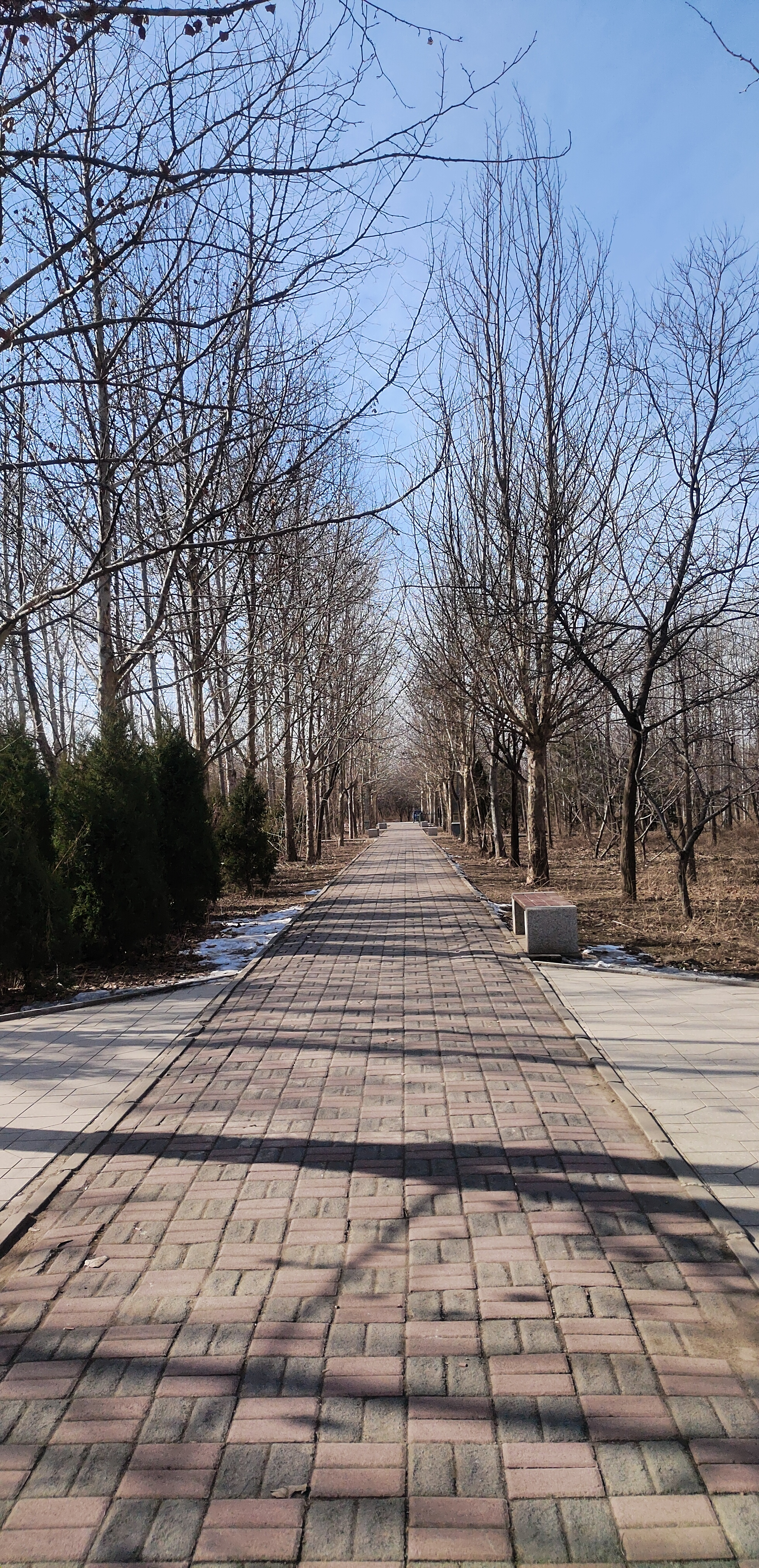 森林公园旅行图片 2
