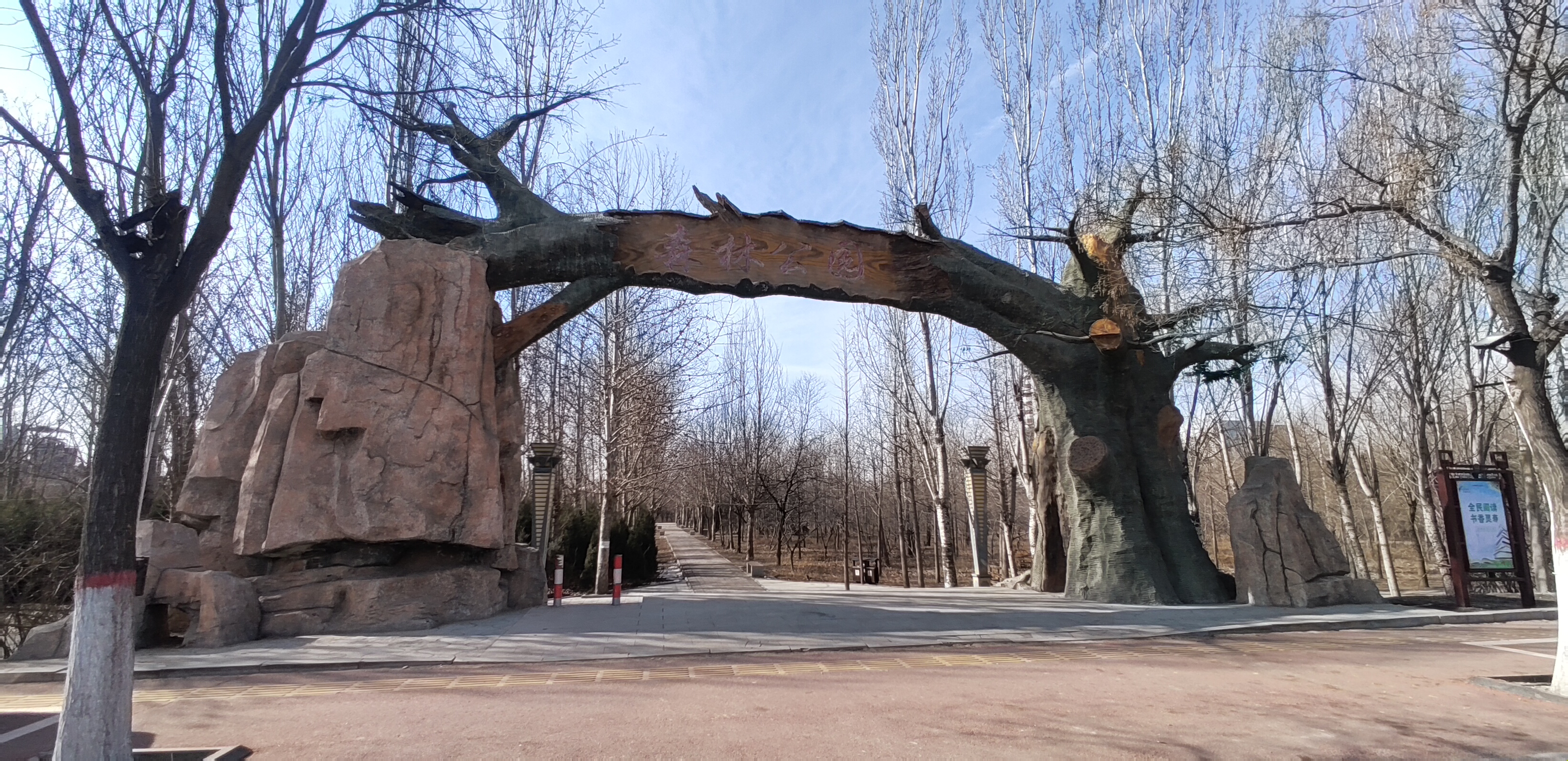 森林公园旅行图片 1