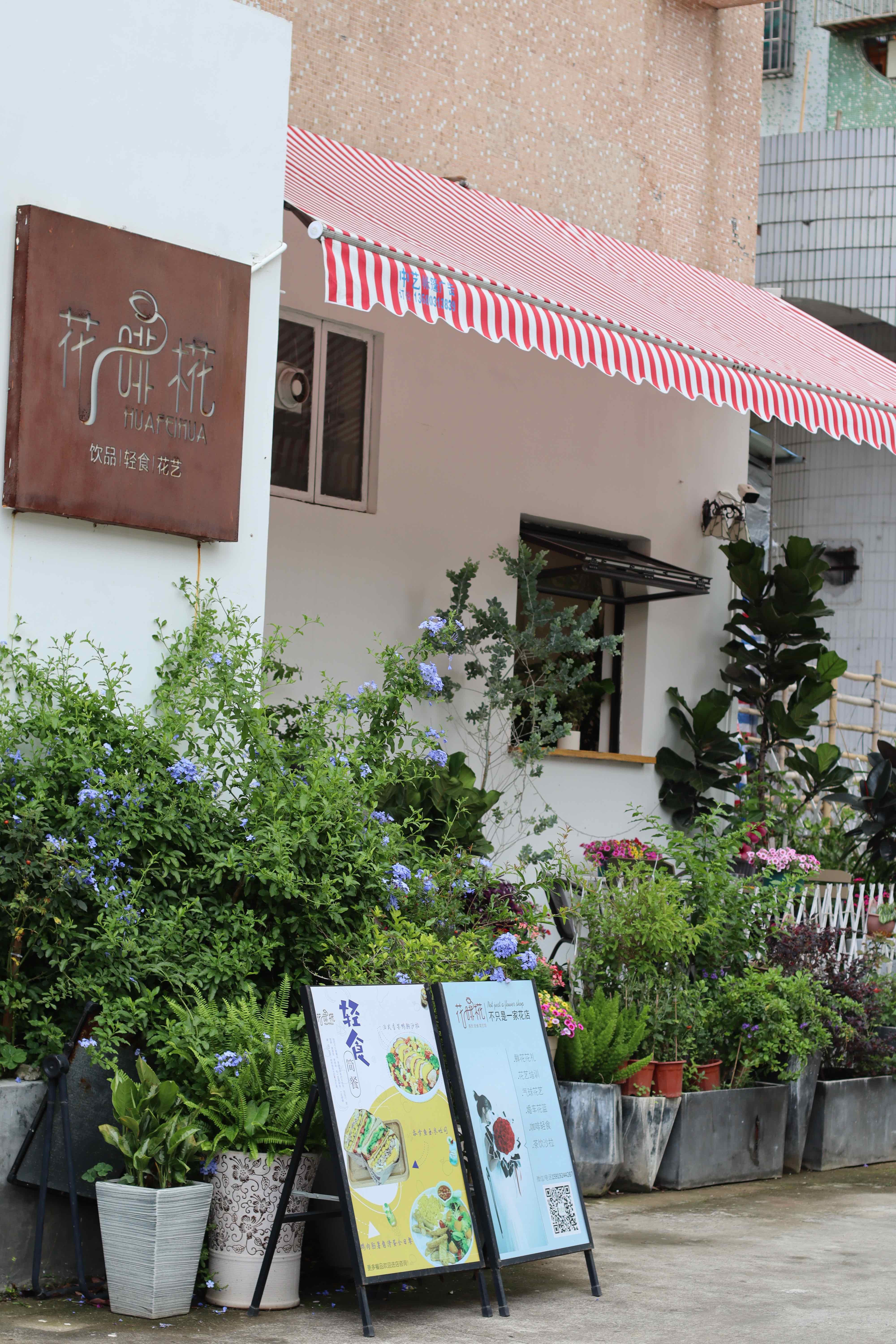 花啡椛