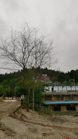 会昌欢乐谷景区旅行图片 3