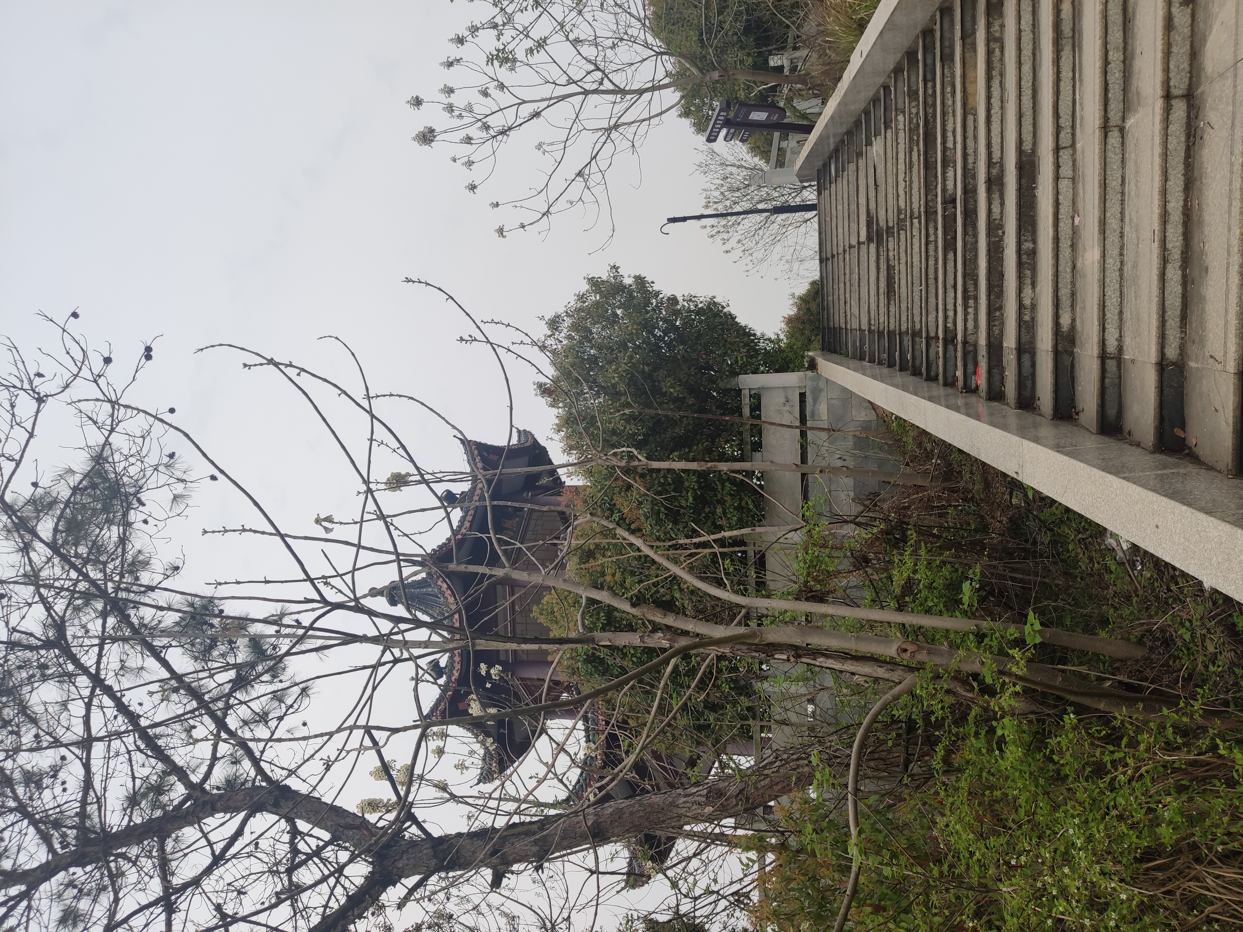 鄱阳风雨山国家森林公园旅行图片 3