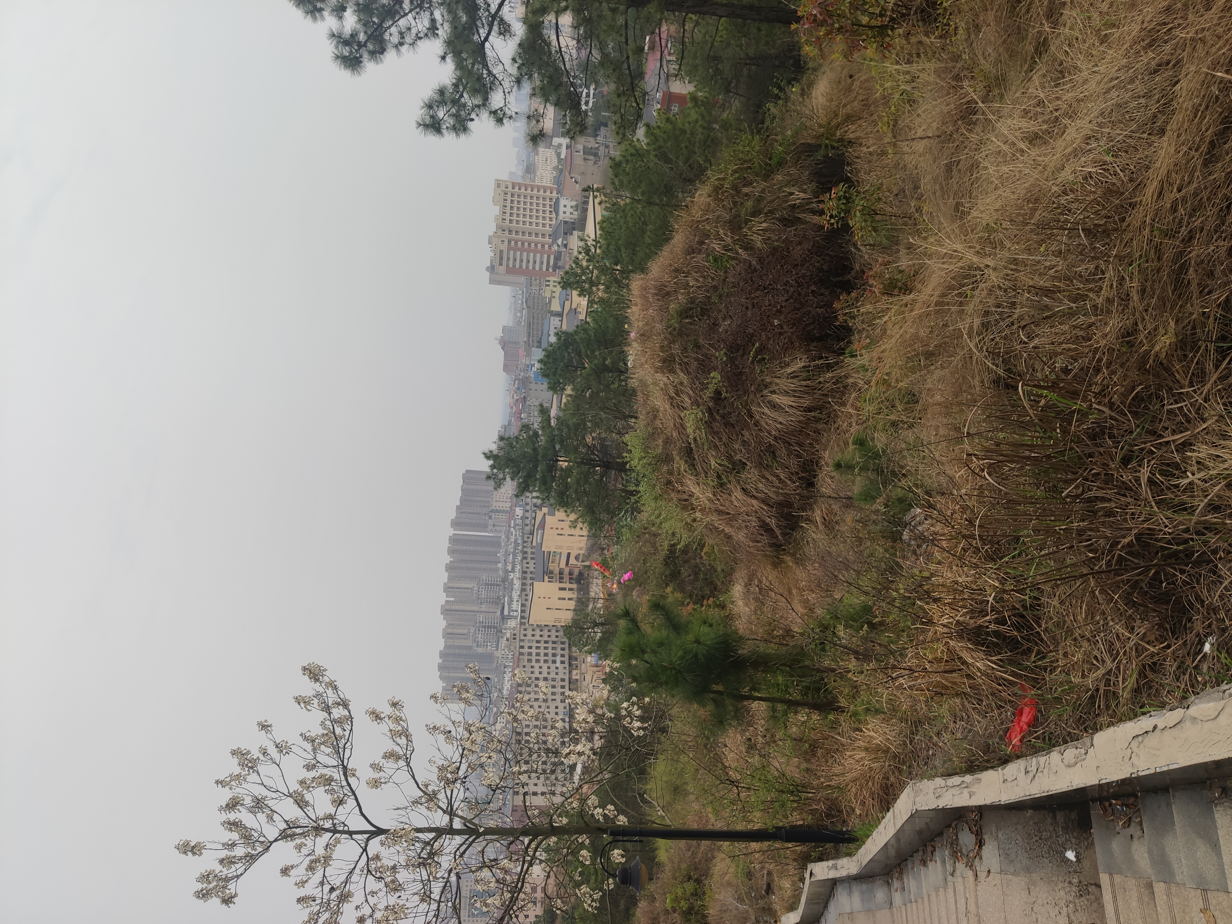 鄱阳风雨山国家森林公园旅行图片 1