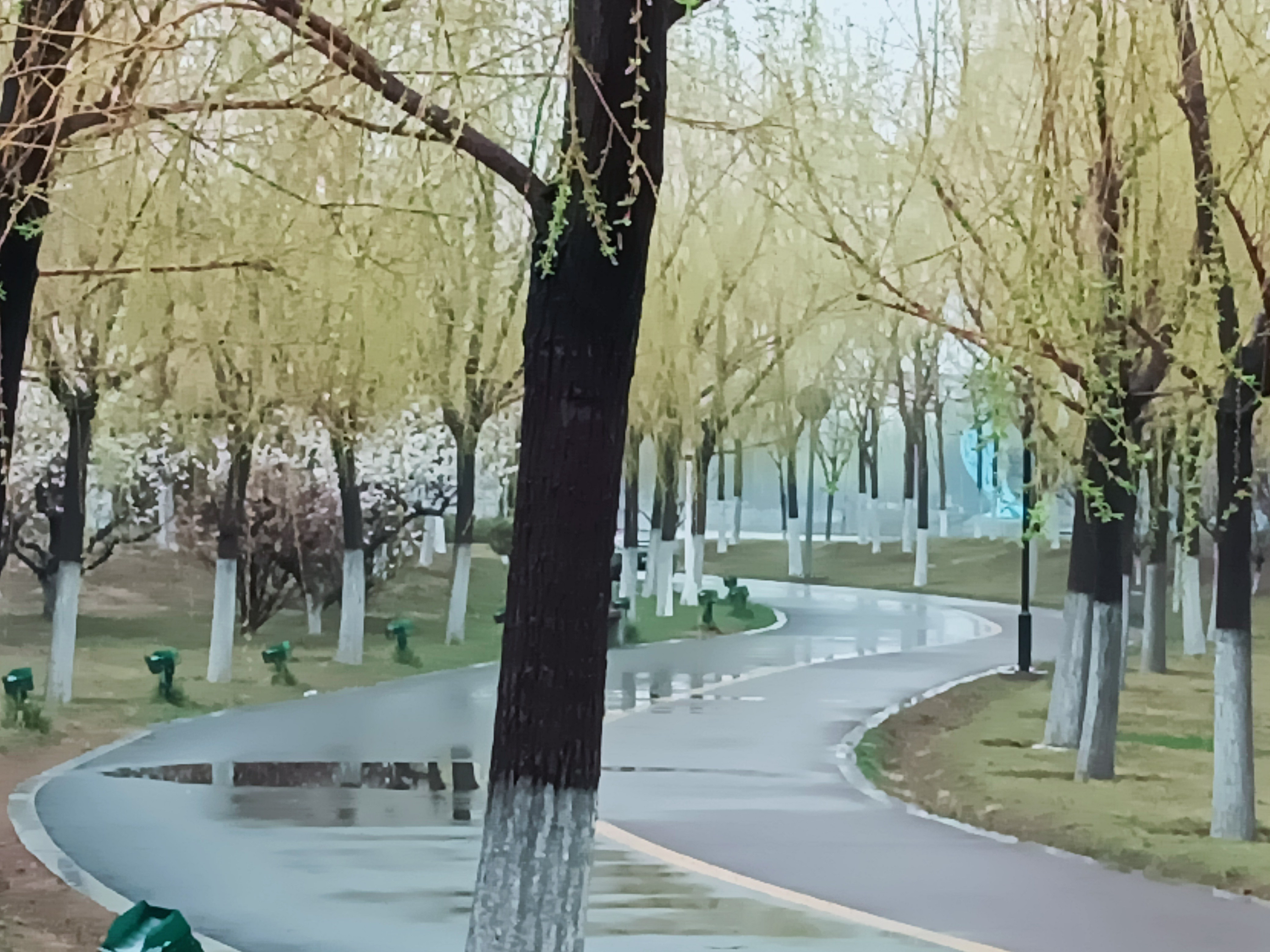 锦华公园旅行图片