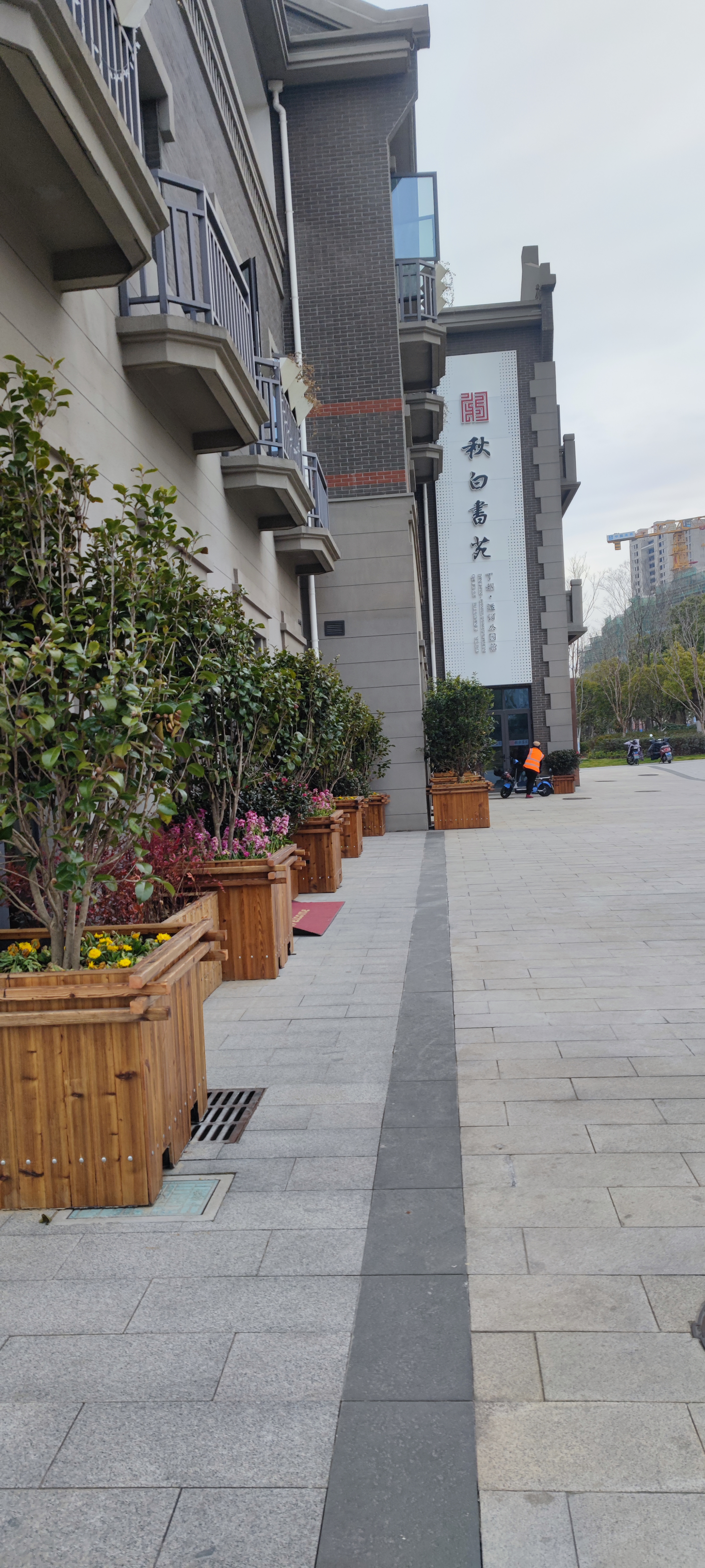 丁堰街道党建文化公园旅行图片 3