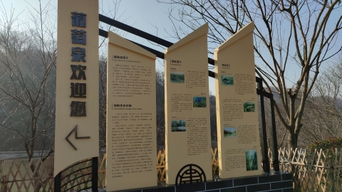 葡萄泉景区旅行图片