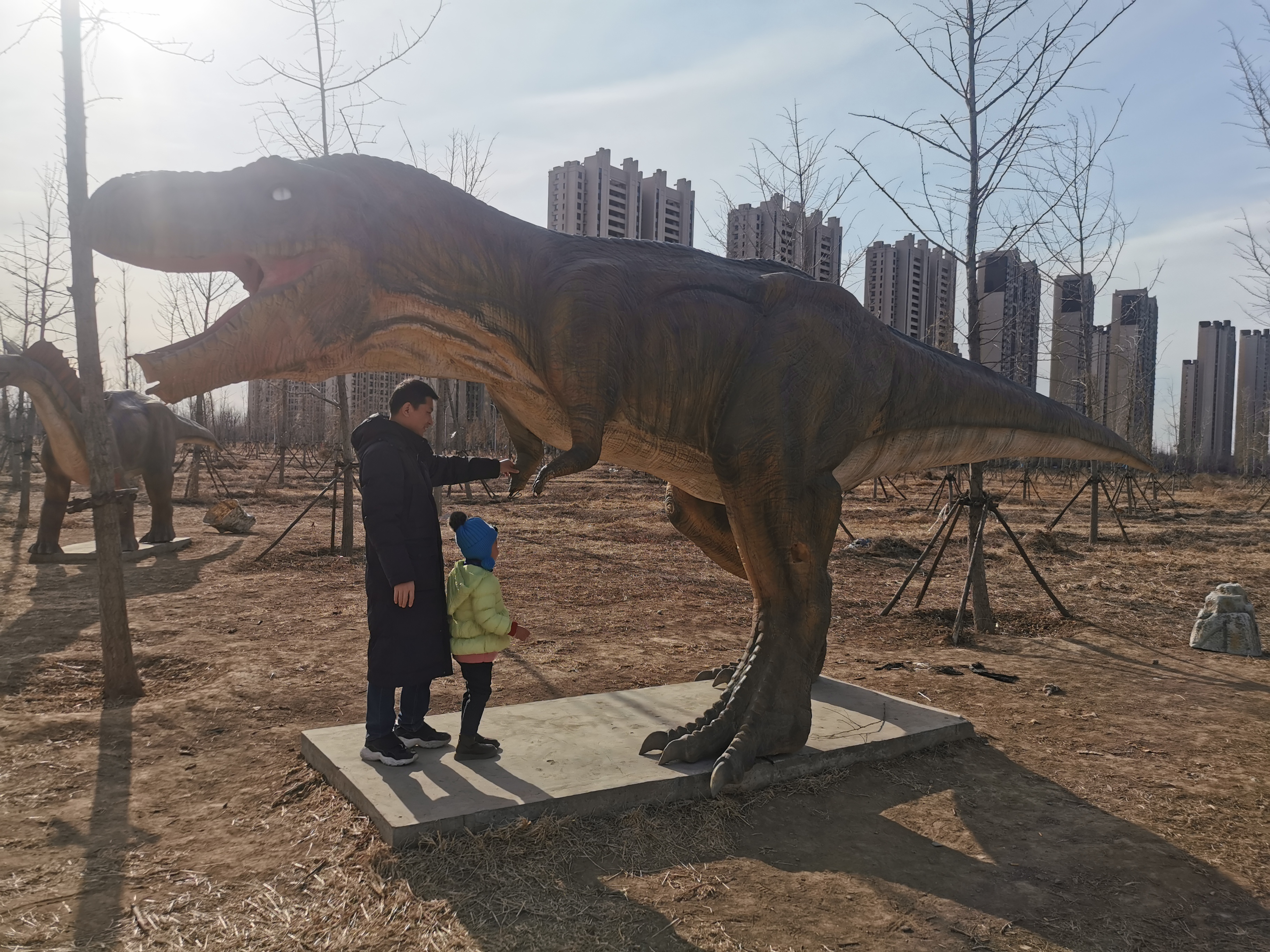 万亩银杏林旅行图片 3