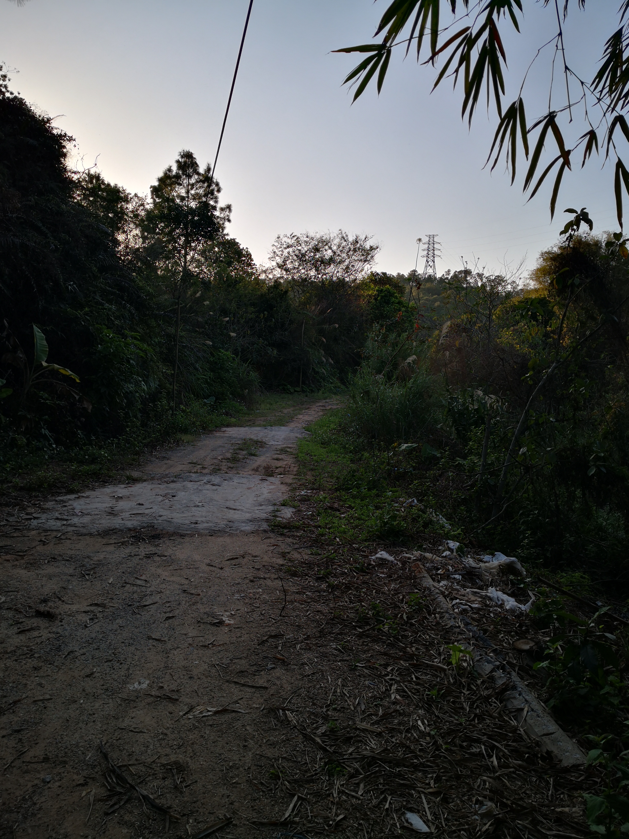 大坎岭森林公园旅行图片 1