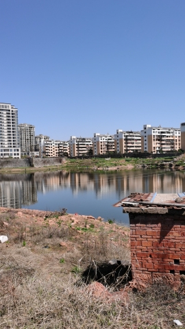 明叔路湿地公园旅行图片 2