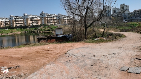 明叔路湿地公园旅行图片 3