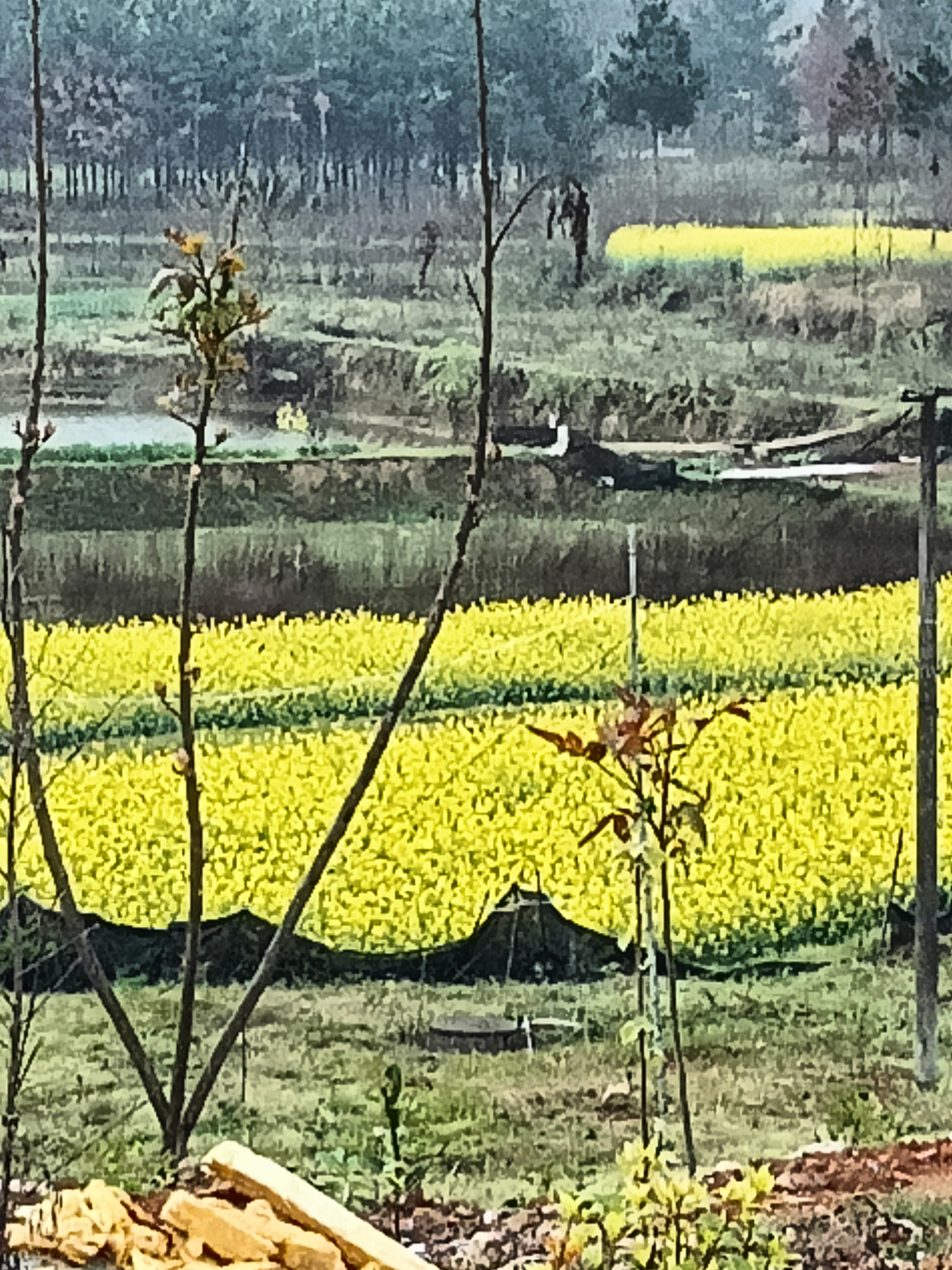云水花海旅行图片 2