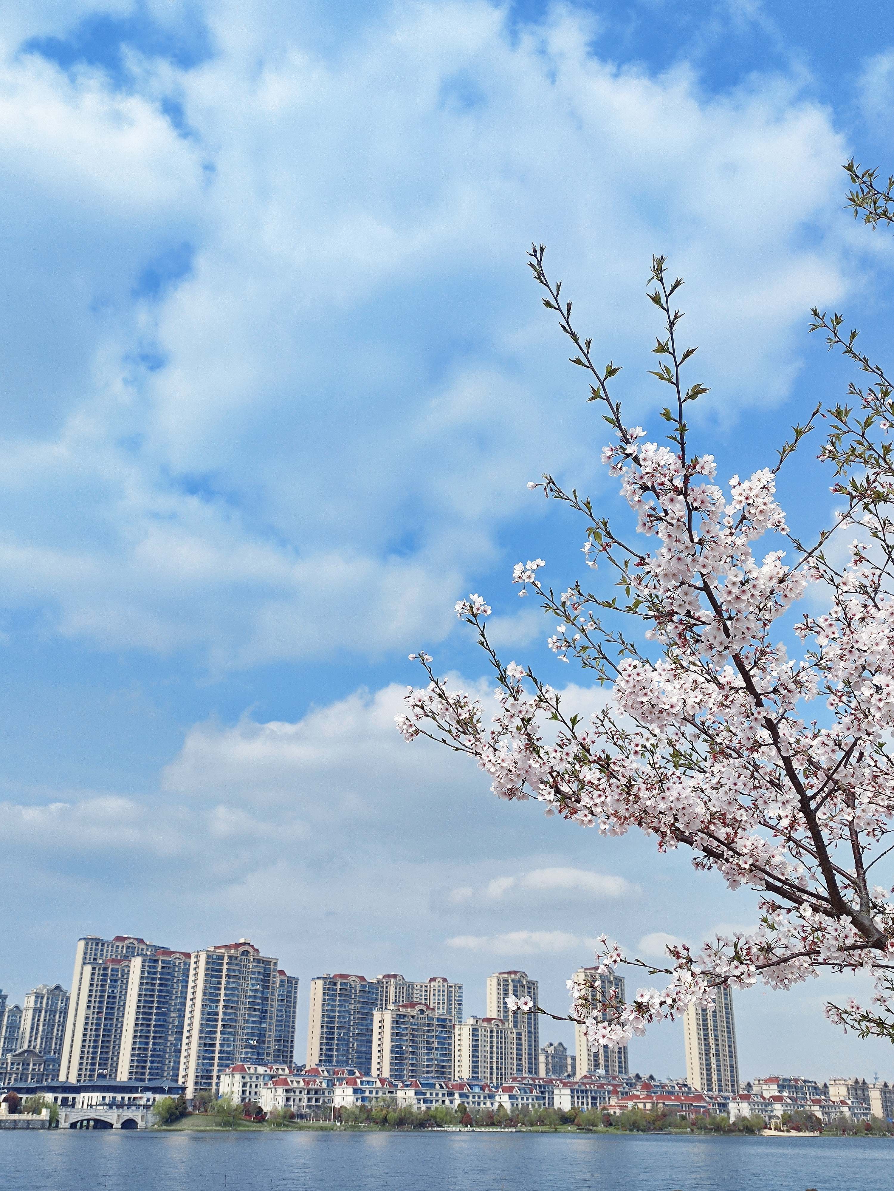 香榭湖景区