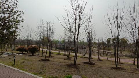 未来城市公园旅行图片 2