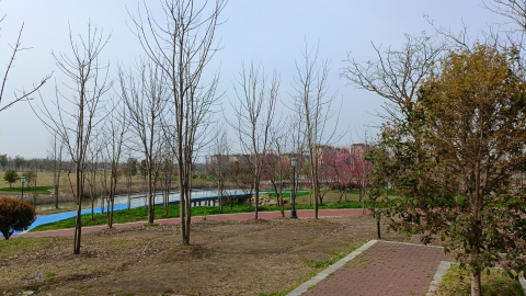 未来城市公园旅行图片 3