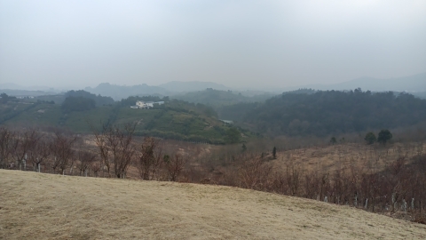 仙人台观景台旅行图片 1