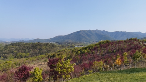 仙人台观景台旅行图片 1