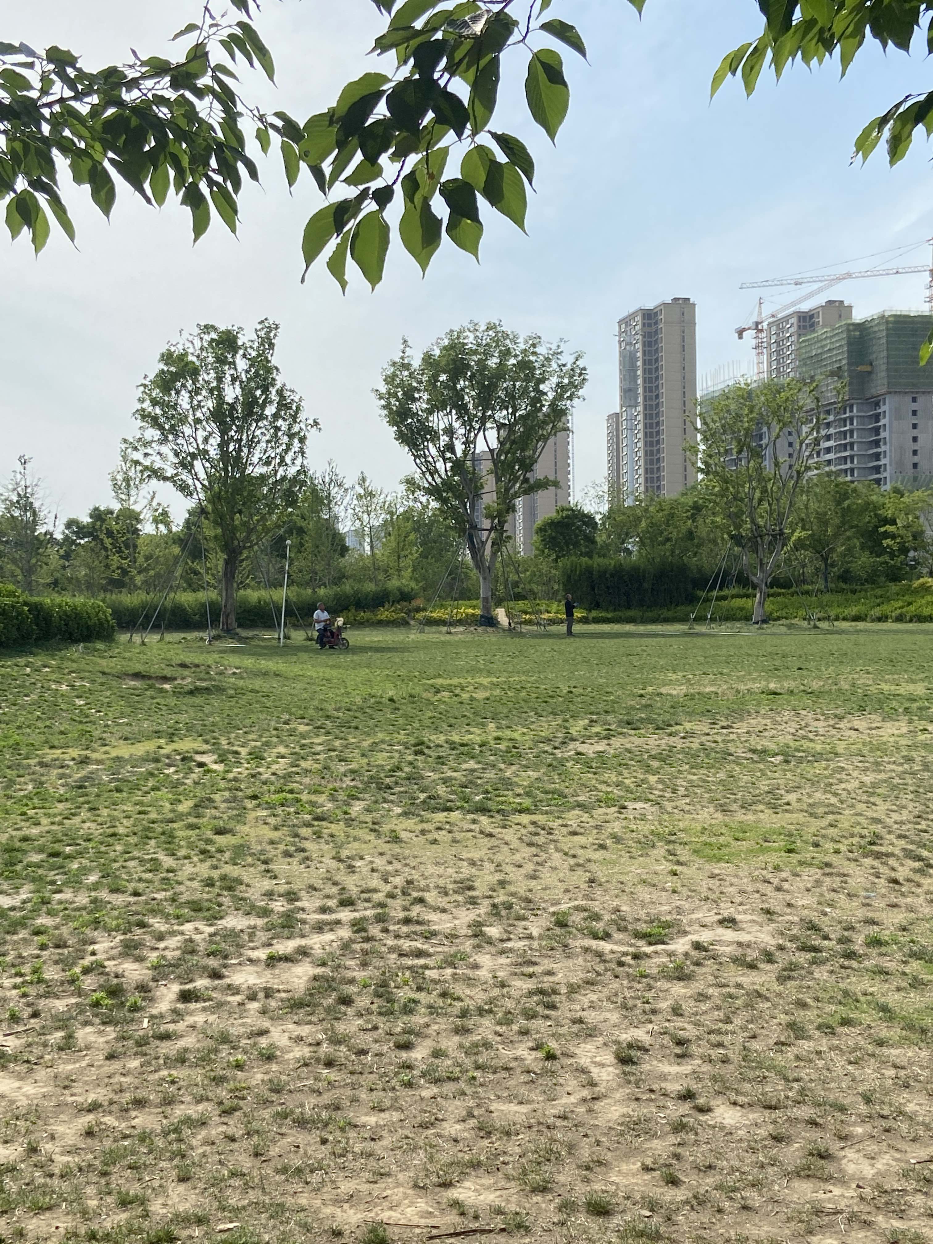 四季河人工湿地公园旅行图片 1