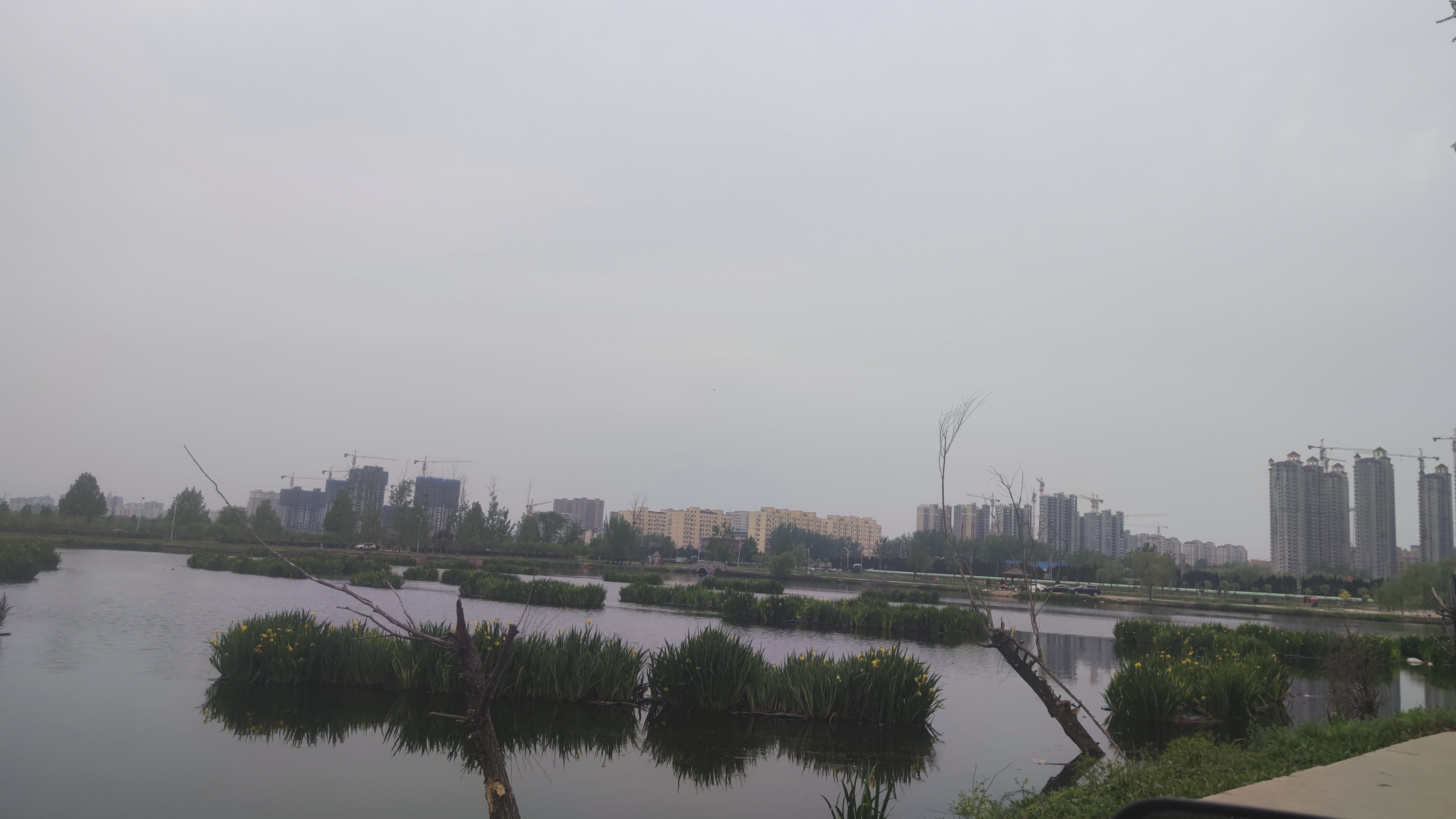 四季河人工湿地公园旅行图片 1