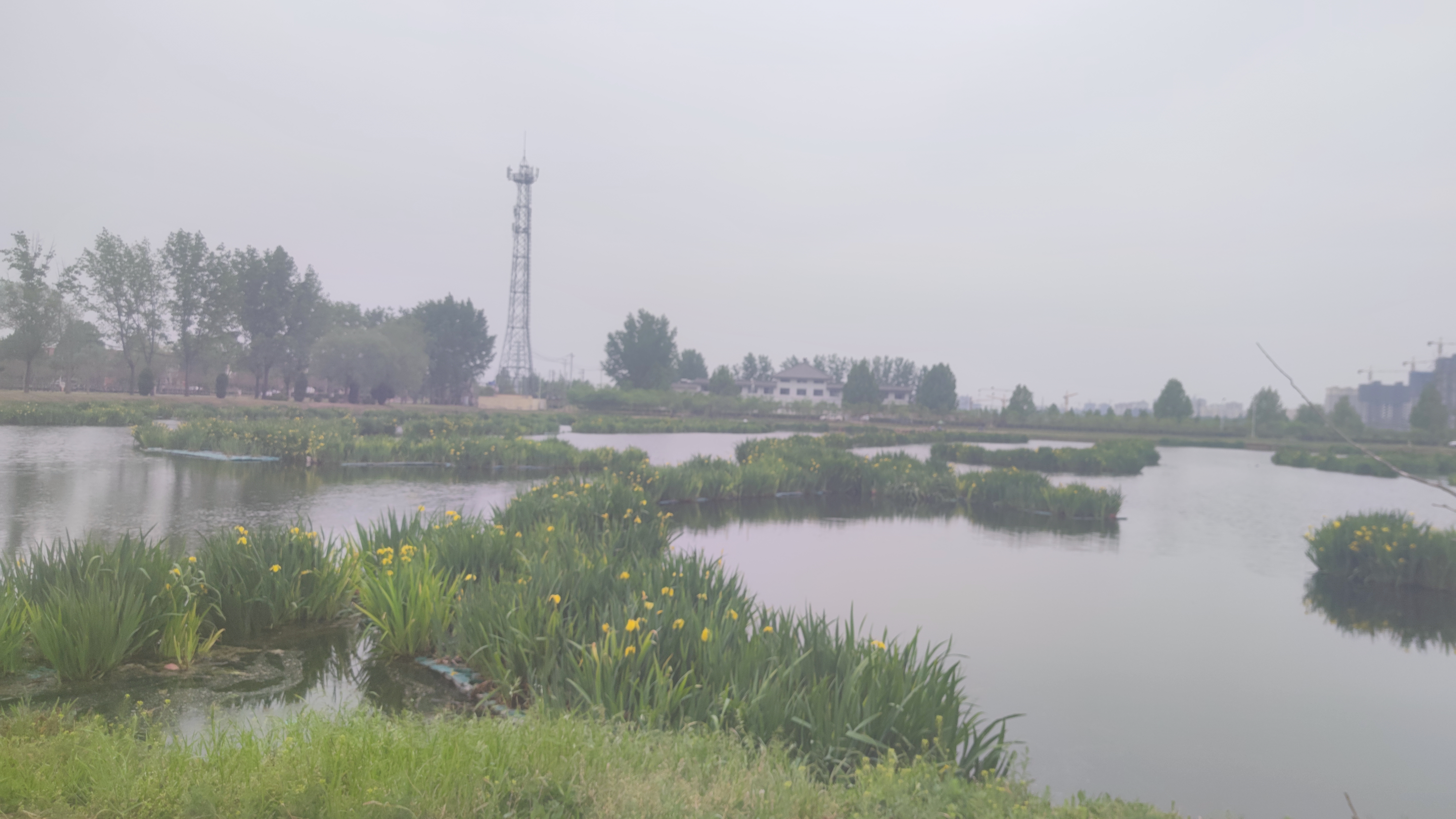 四季河人工湿地公园旅行图片 3