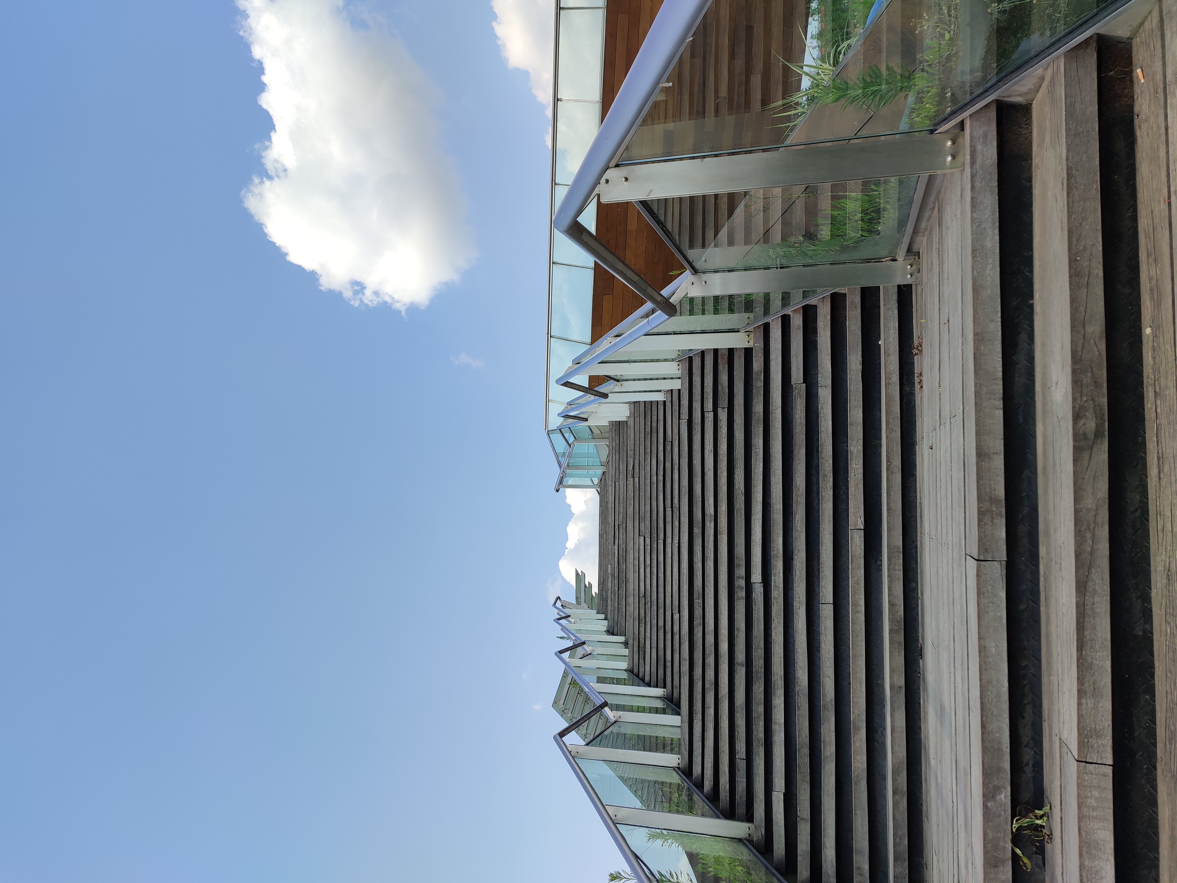 大佛寺湿地公园旅行图片 1