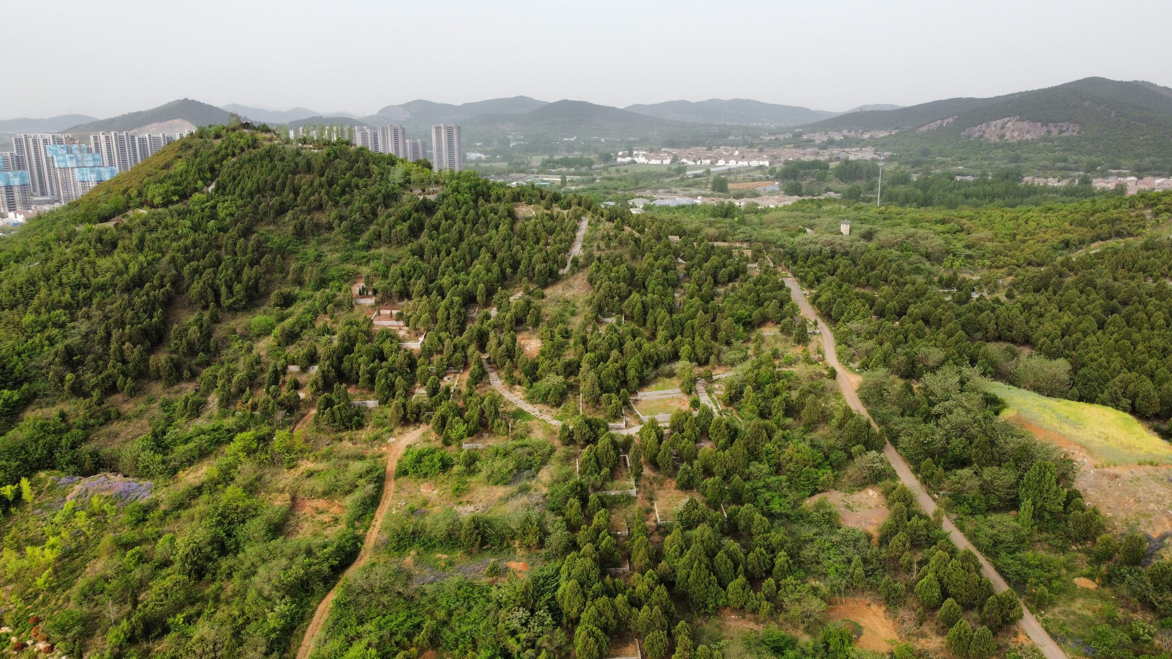 佛手山公园旅行图片 3