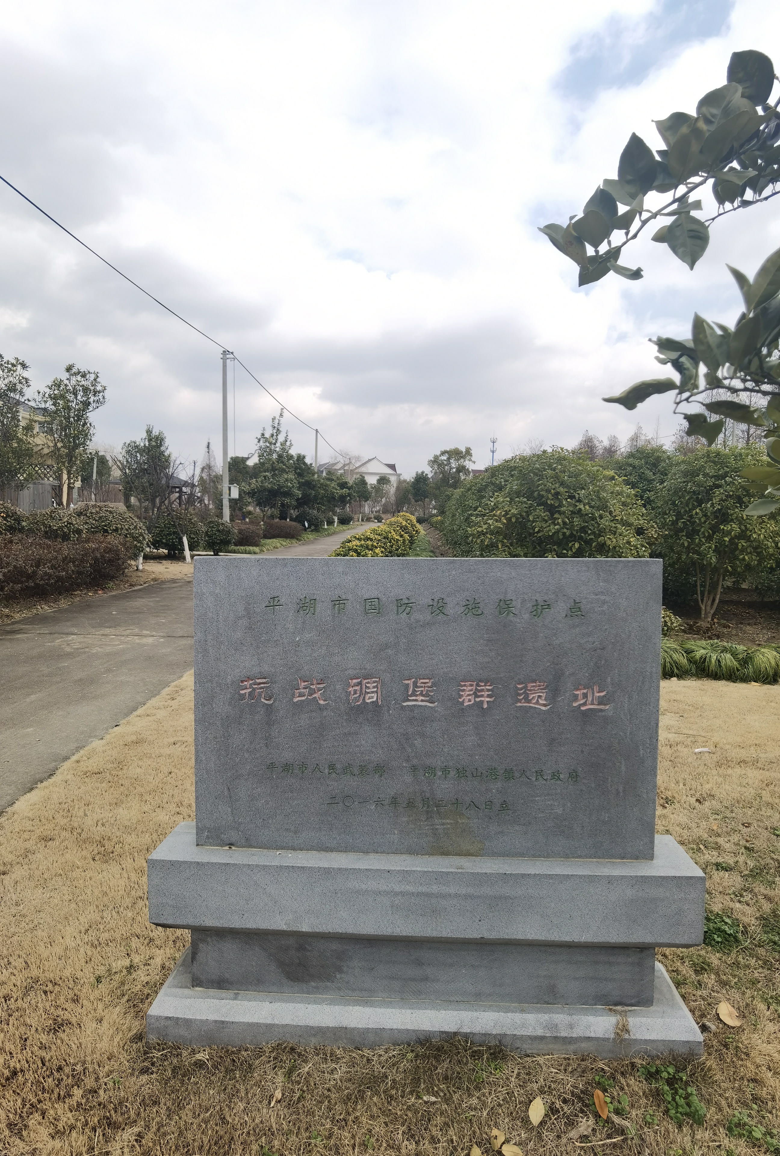 花海优胜主题公园旅行图片 1