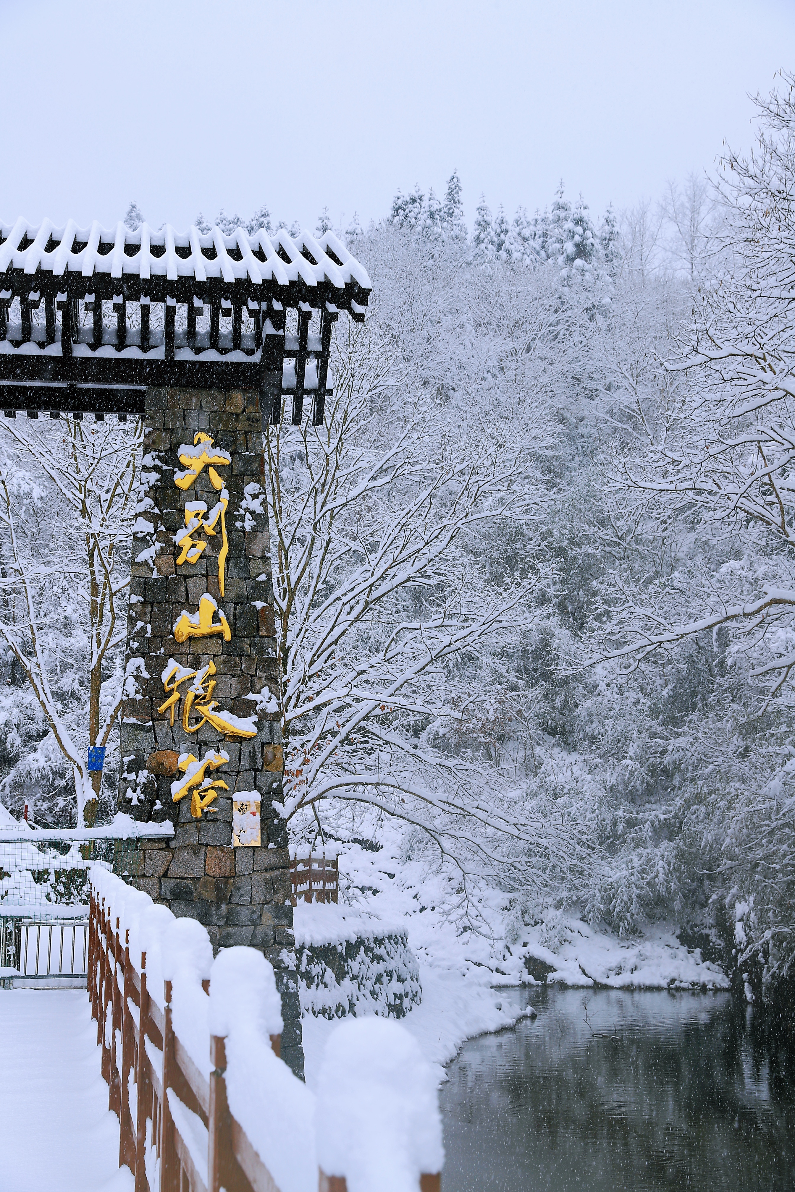 大别山狼谷旅行图片 1