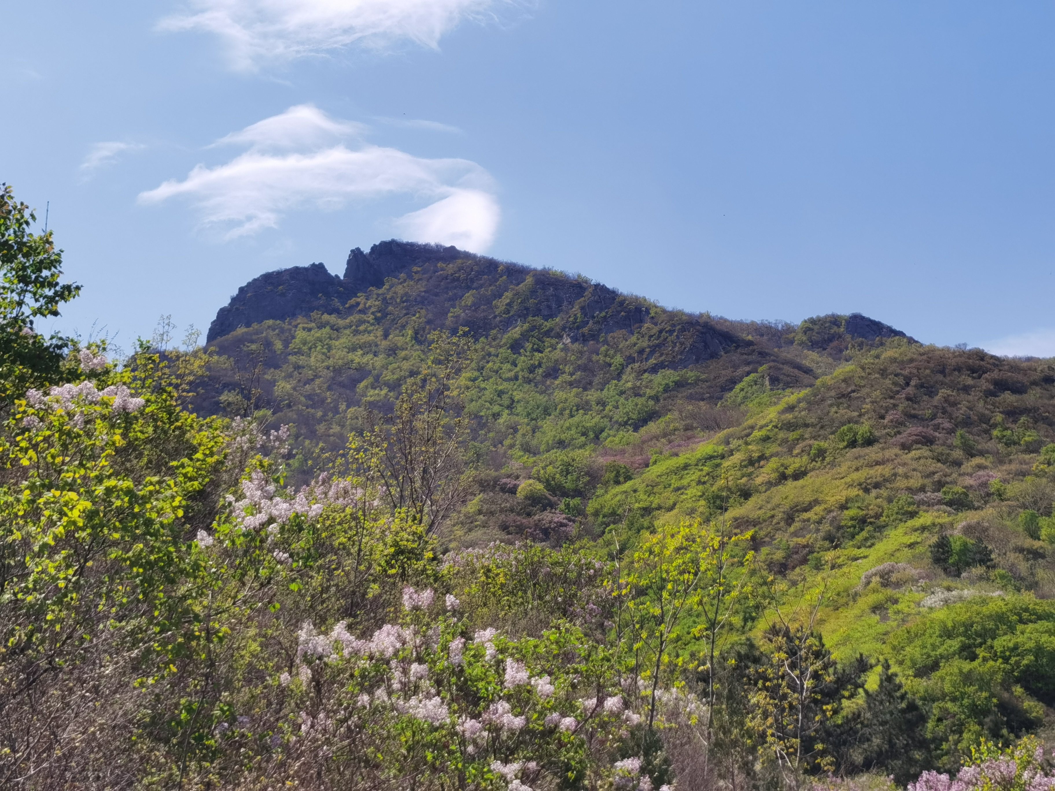 阜新大青山景区旅行图片 3