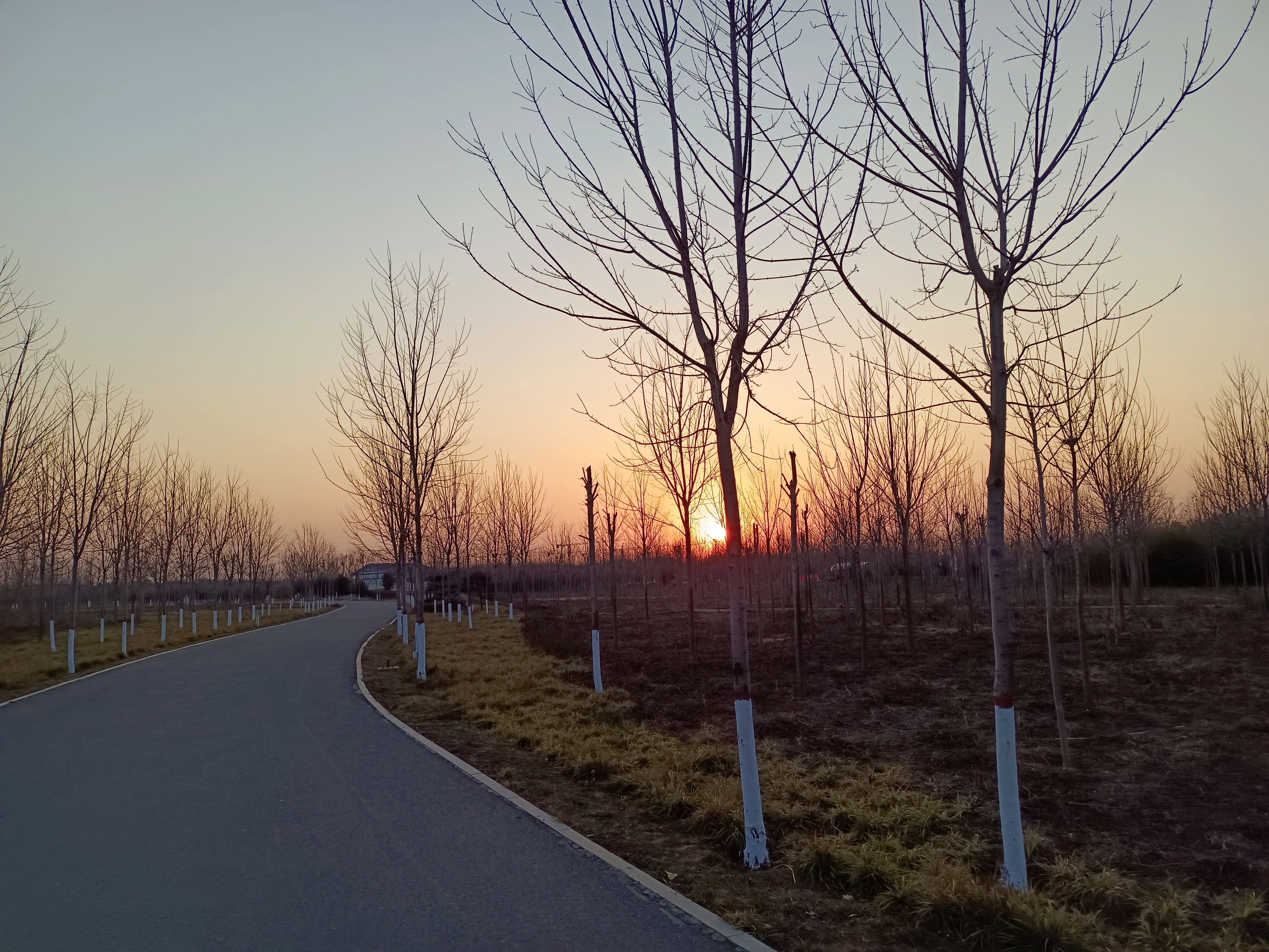 邯郸东郊森林公园旅行图片 1