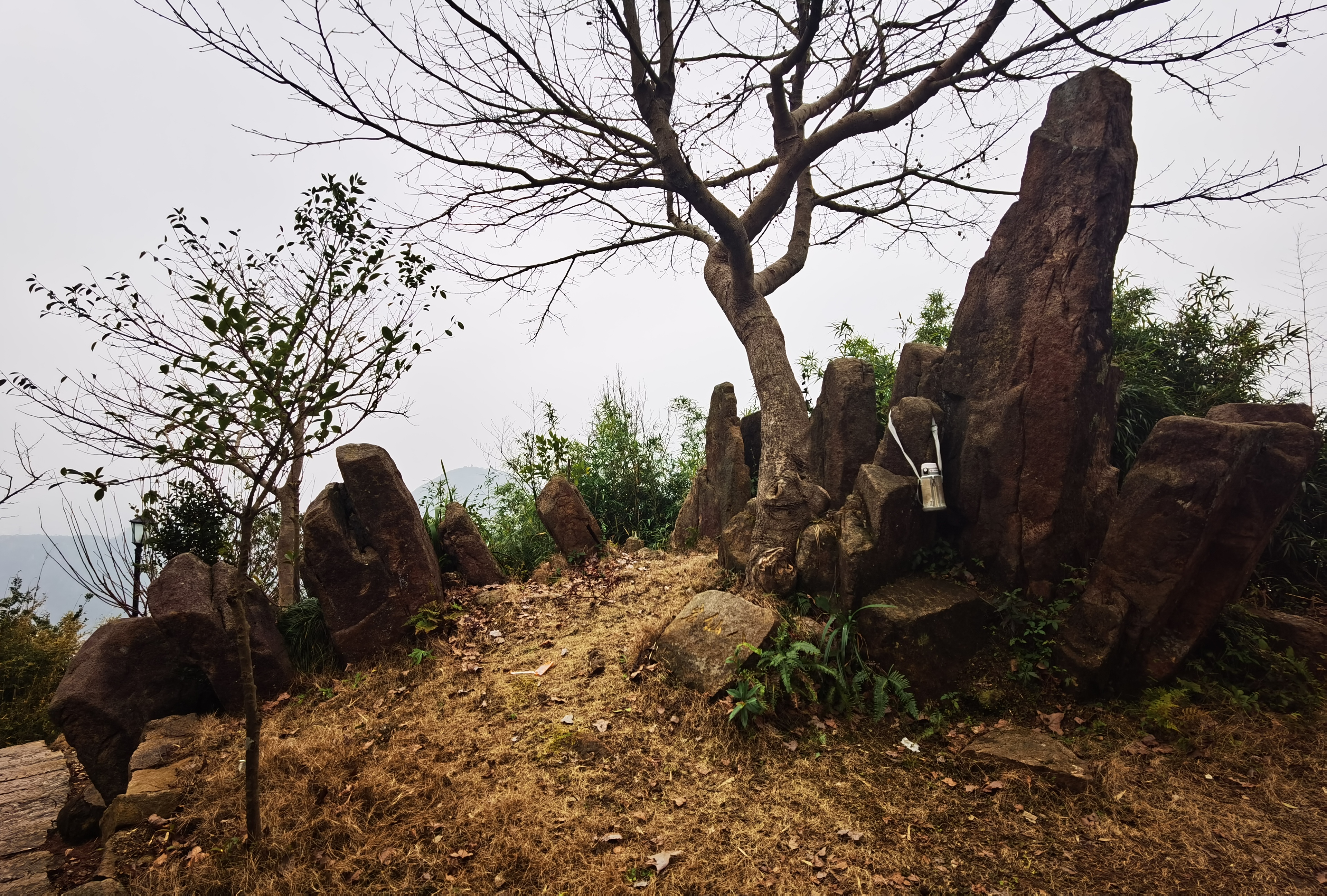 平阳天师洞旅行图片 3