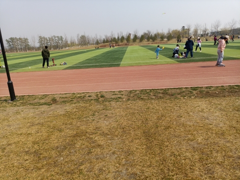 瀛海体育运动公园旅行图片 1