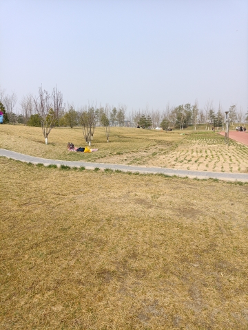 瀛海体育运动公园旅行图片 3