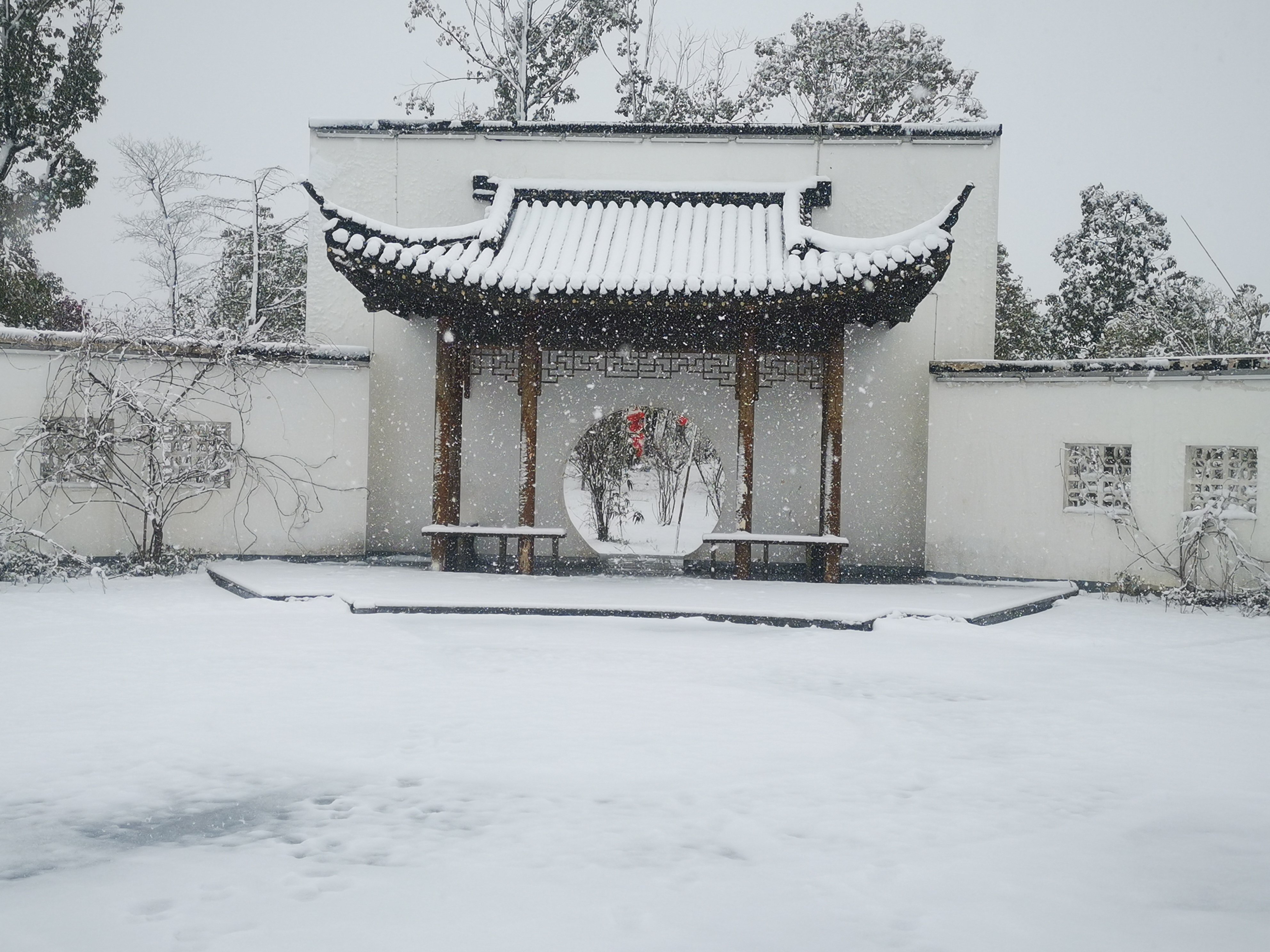春晖公园旅行图片 1