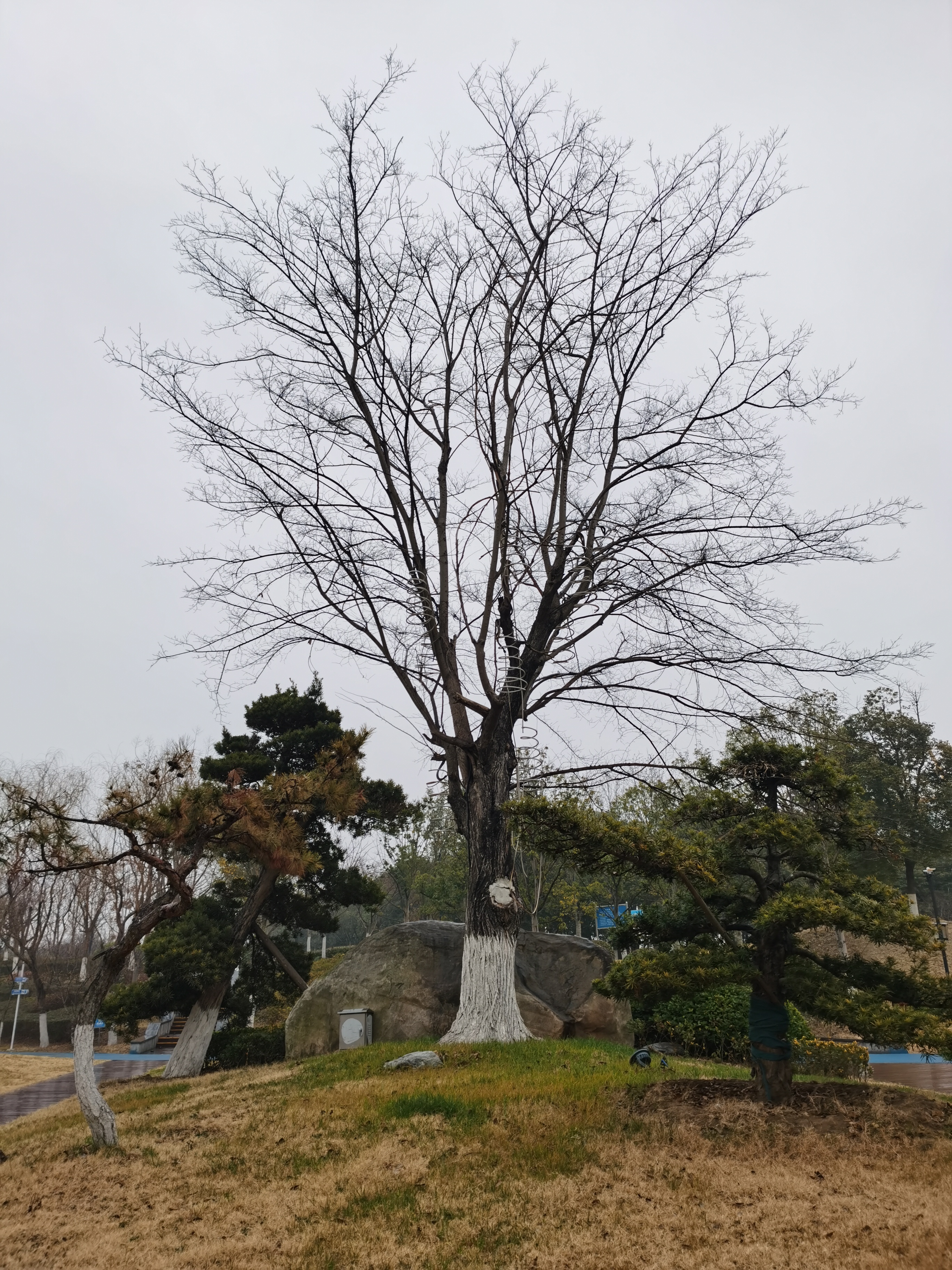 三河六岸旅行图片 1
