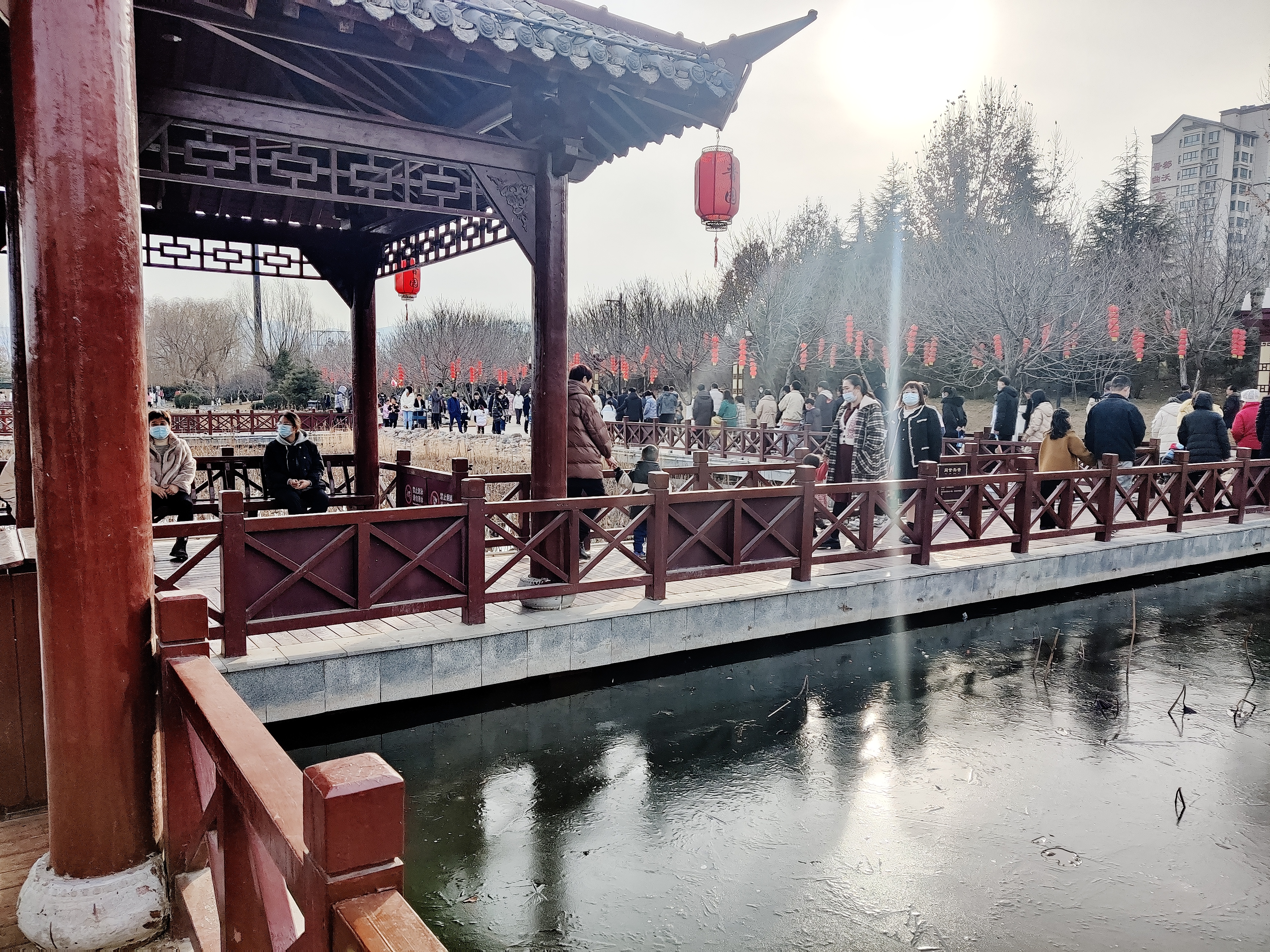 顾园旅行图片 1