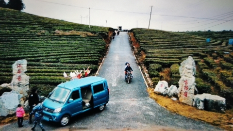 牛牯岭茶园旅行图片 1