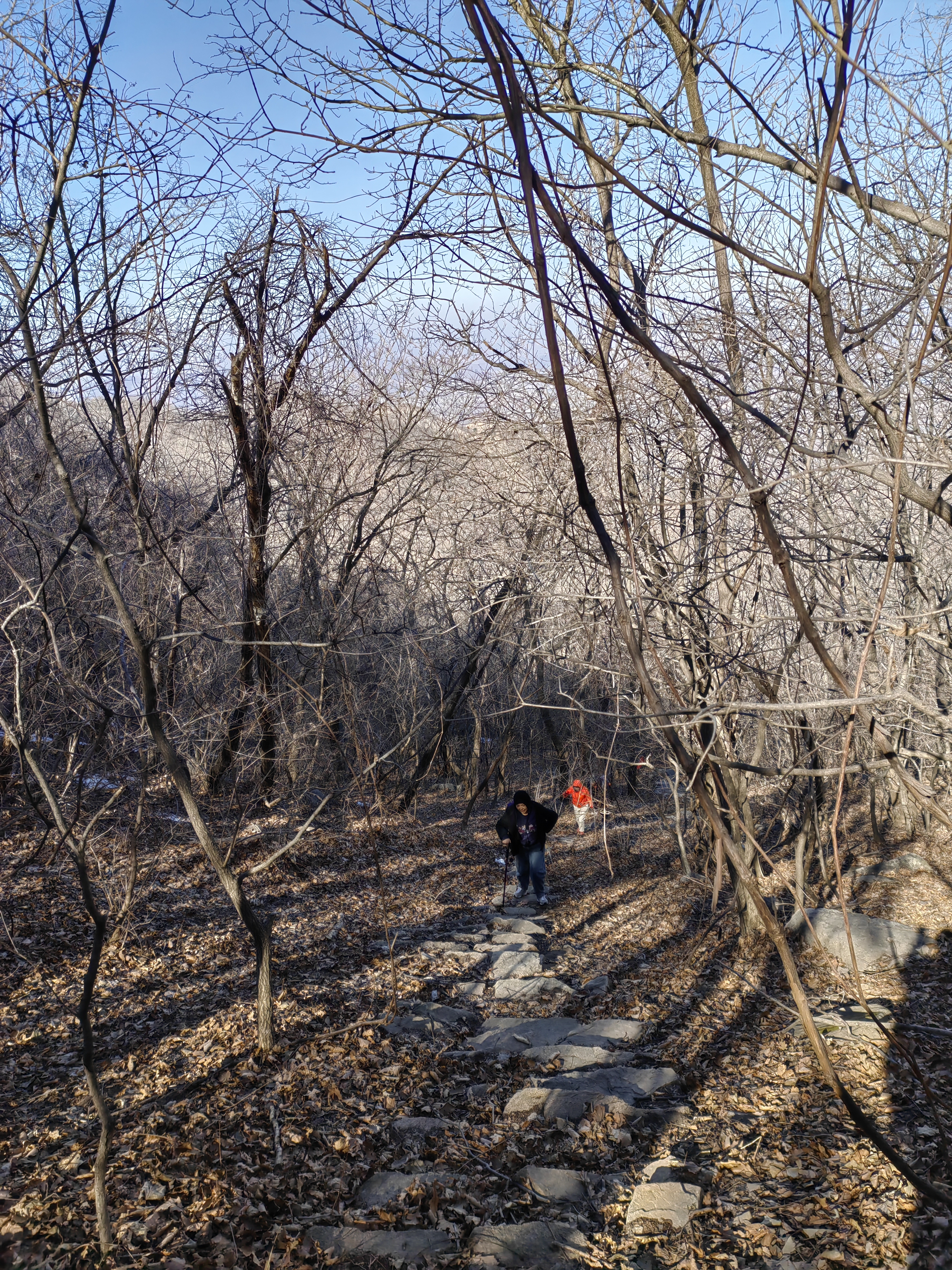龙门汤森林公园佛座山碾盘沟景区旅行图片 3