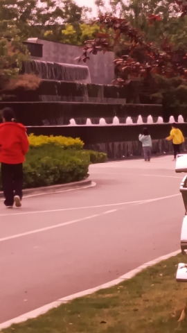 中央公园旅行图片 1