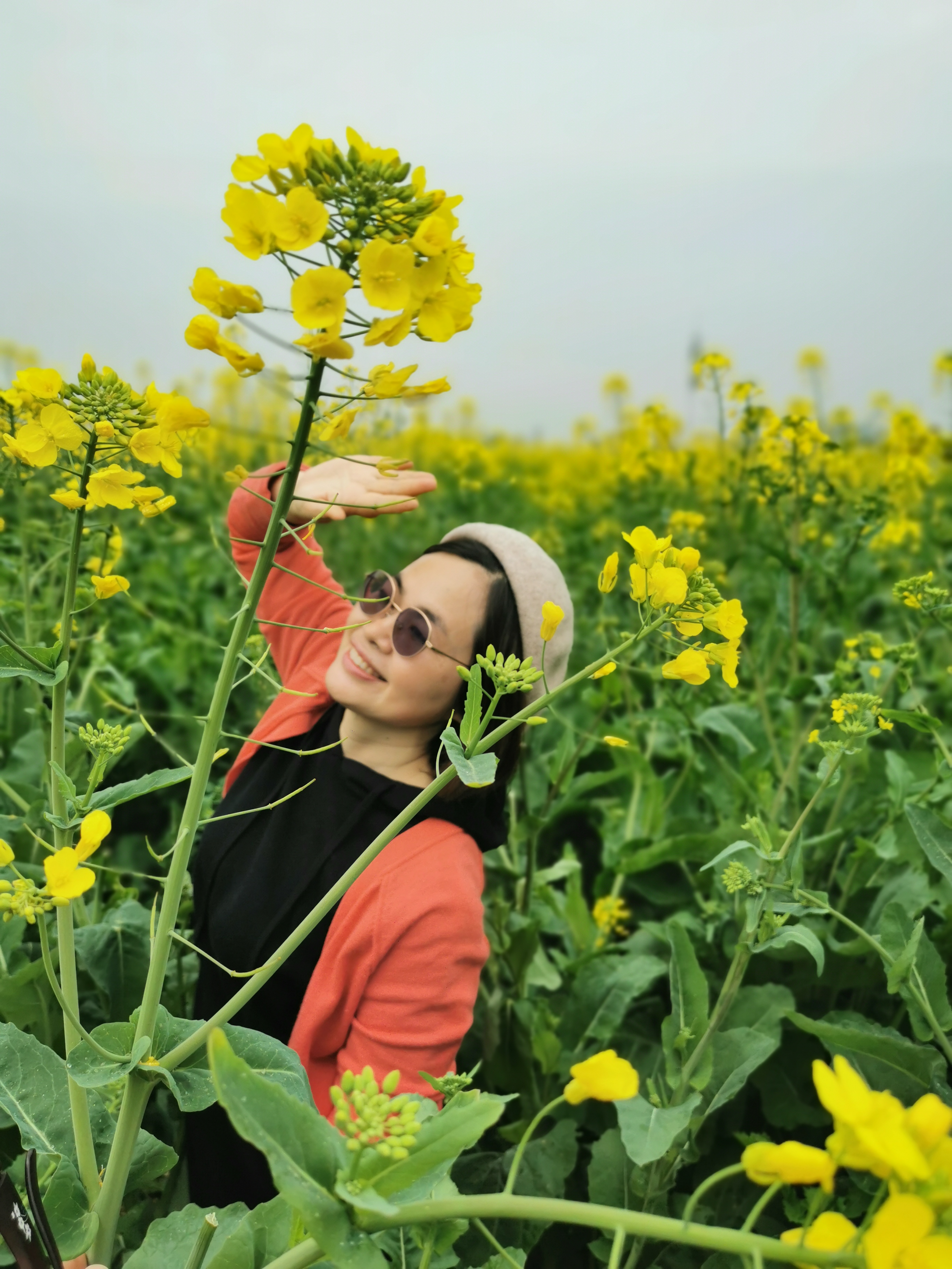 云雾山樱桃谷樱花广场旅行图片 1