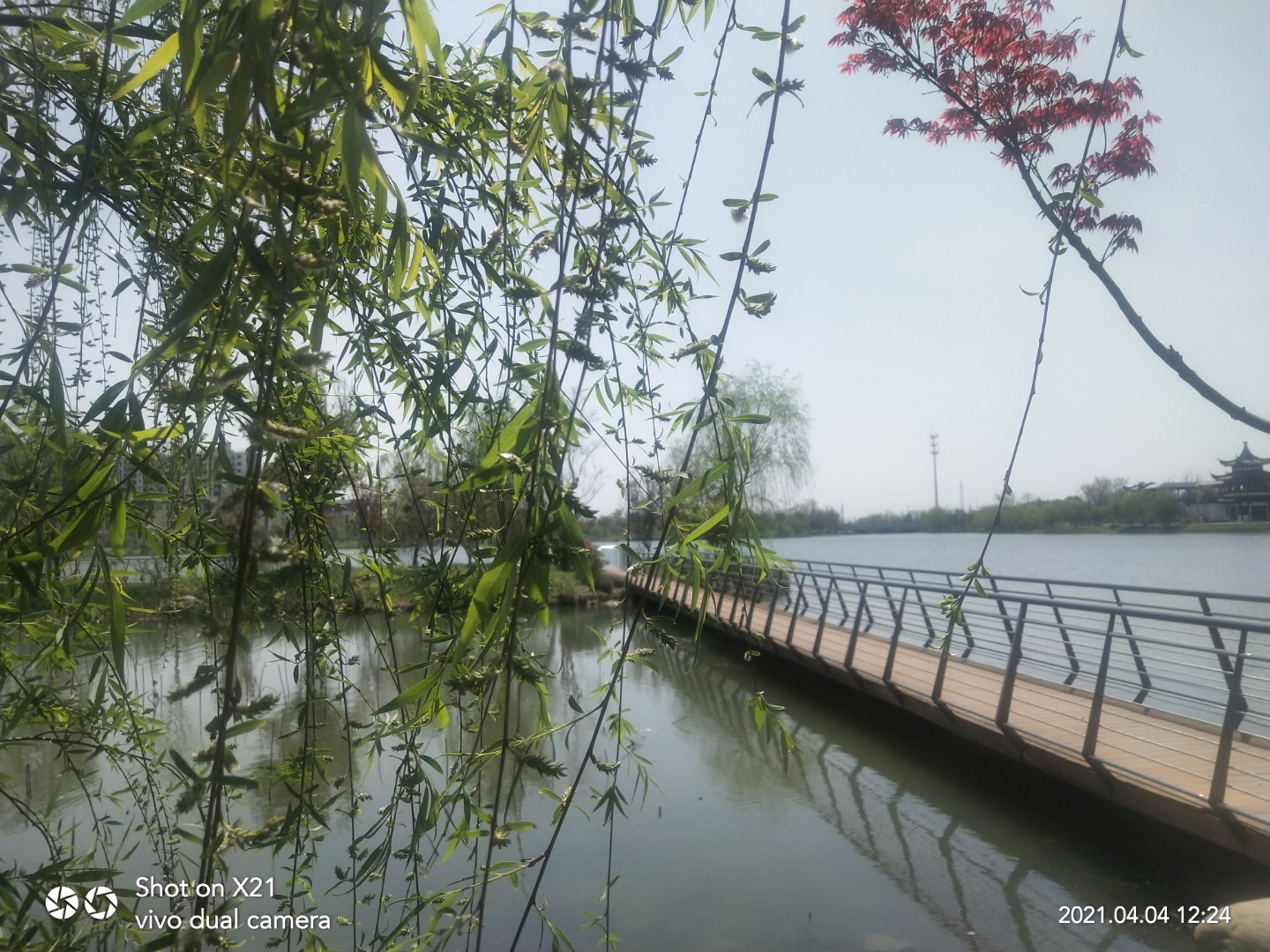 新湖公园旅行图片 3