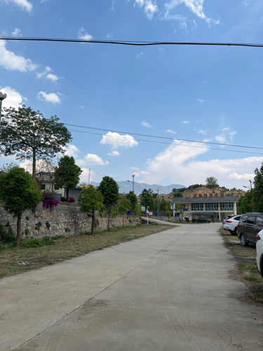 莲乡布德·梦里水乡旅行图片 2