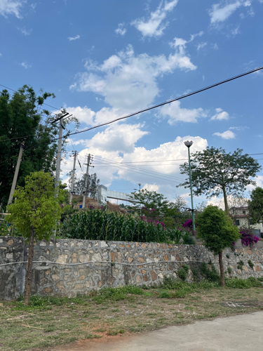 莲乡布德·梦里水乡旅行图片 3