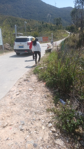 观音山起点旅行图片 1