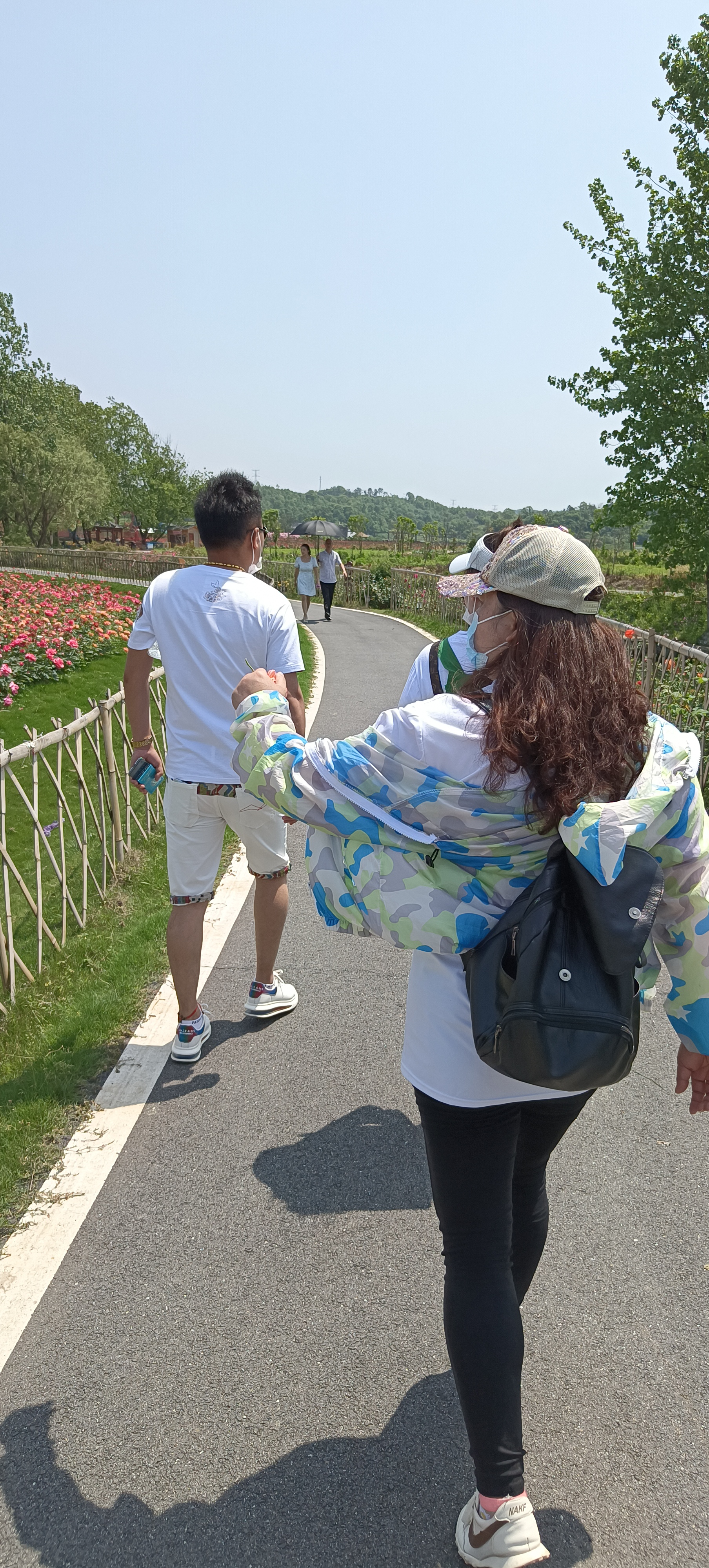 清莲谷旅行图片 3