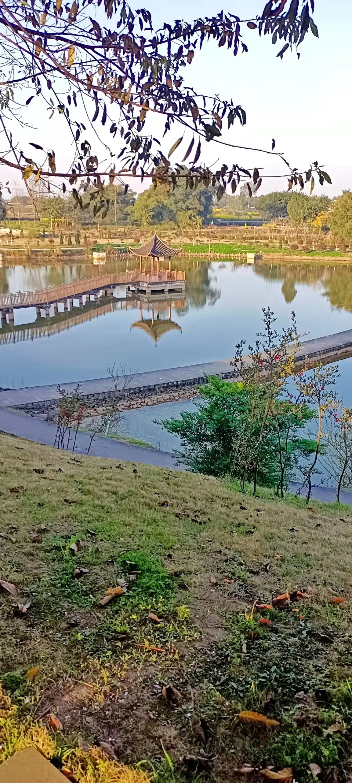 隆兴湿地公园旅行图片 1