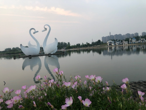 白荡湿地保护区旅行图片 3