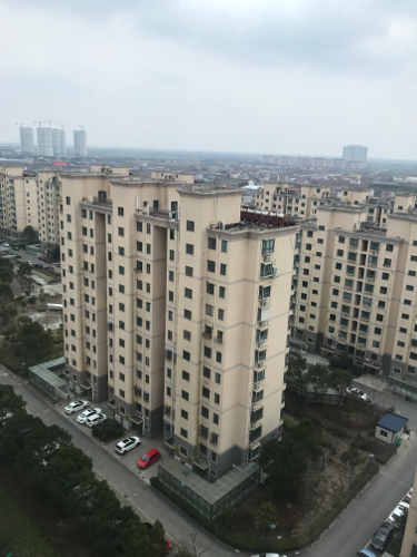 启东动物园旅行图片 1