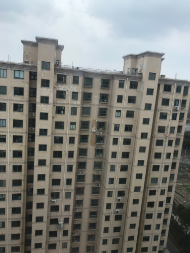 启东动物园旅行图片 2
